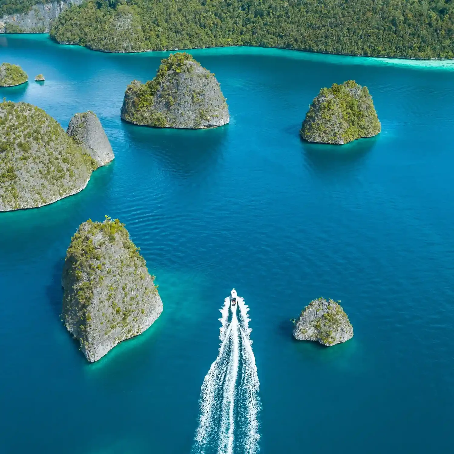 Flights & transfers