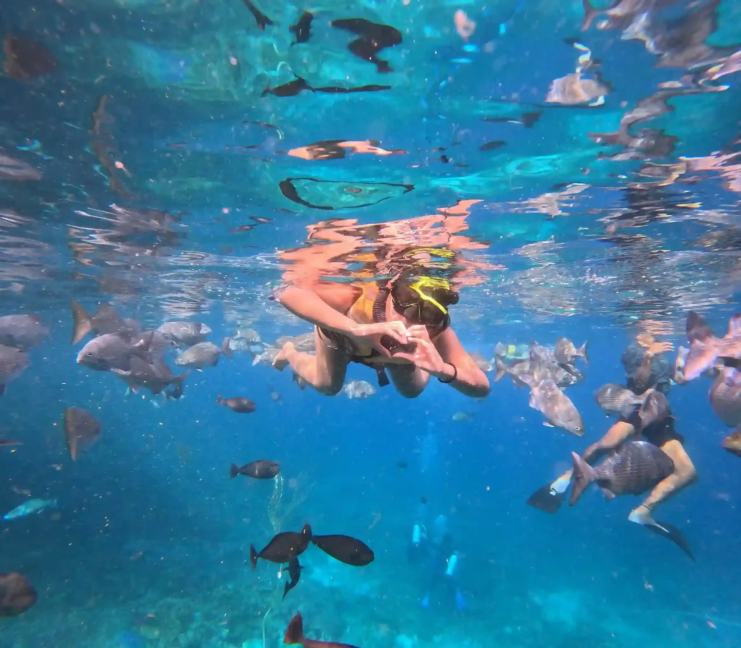 A snorkeller among reef fish just under the surface