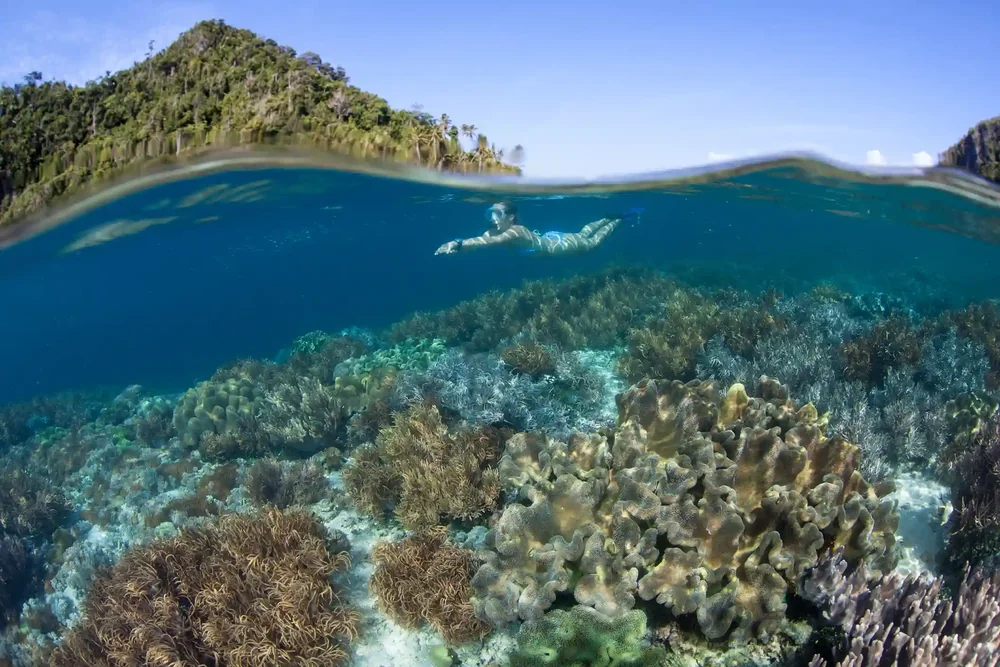 Snorkelling