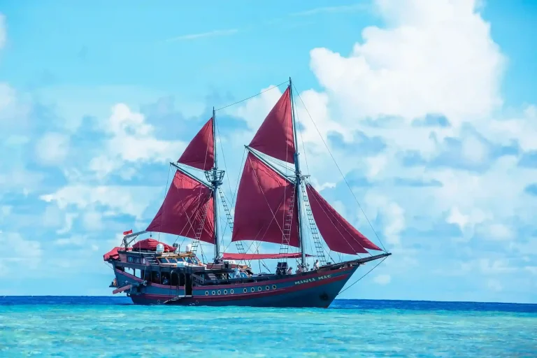 Raja Ampat Christmas & New Year 2027 Charter Guide