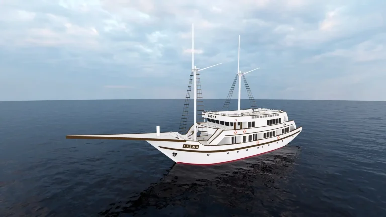 The Best Liveaboards in Raja Ampat (2027)
