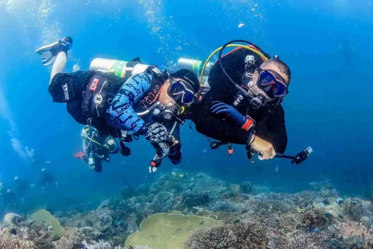 Sardine Reef: A Wall of Fish in Raja Ampat